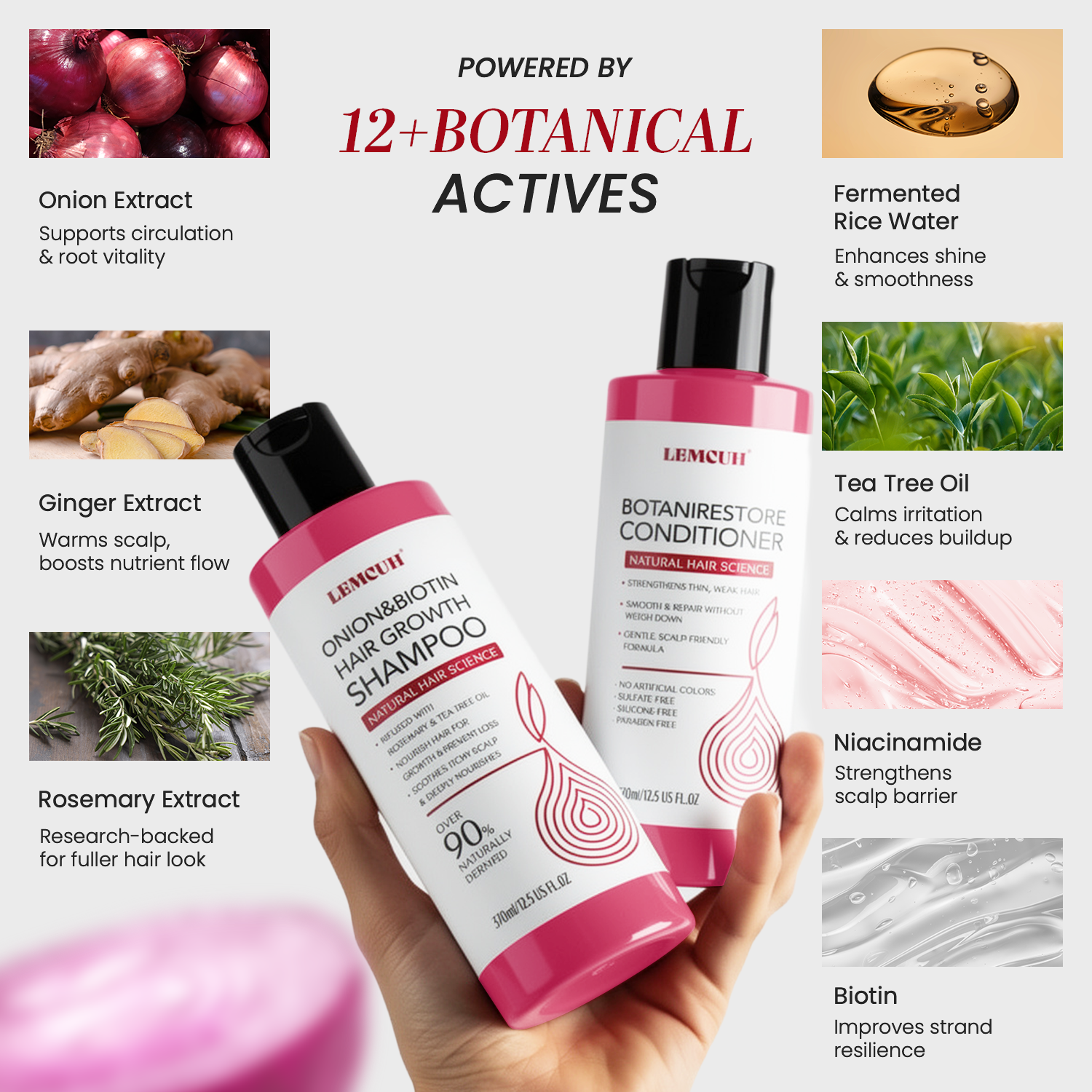 Hair Growth Shampoo and Conditioner Set – Onion Biotin Shampoo and Conditioner for Hair Loss – Rosemary Tea Tree To Support Thickening and Volumizing Hair and Nourishing the Scalp for Women Men