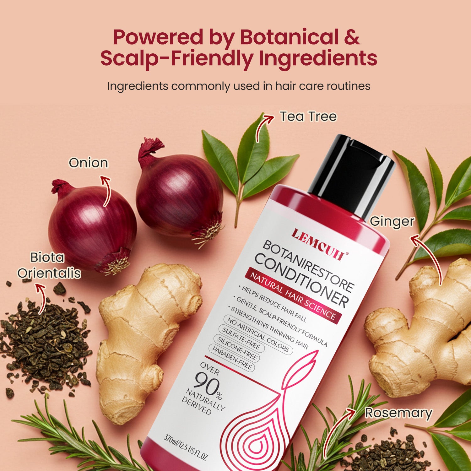 Onion & Biotin Hair Conditioner for Thinning Hair & Scalp Care - Strengthening Formula with Caffeine, Ginger & Ginseng - Daily Use (12.5 oz)